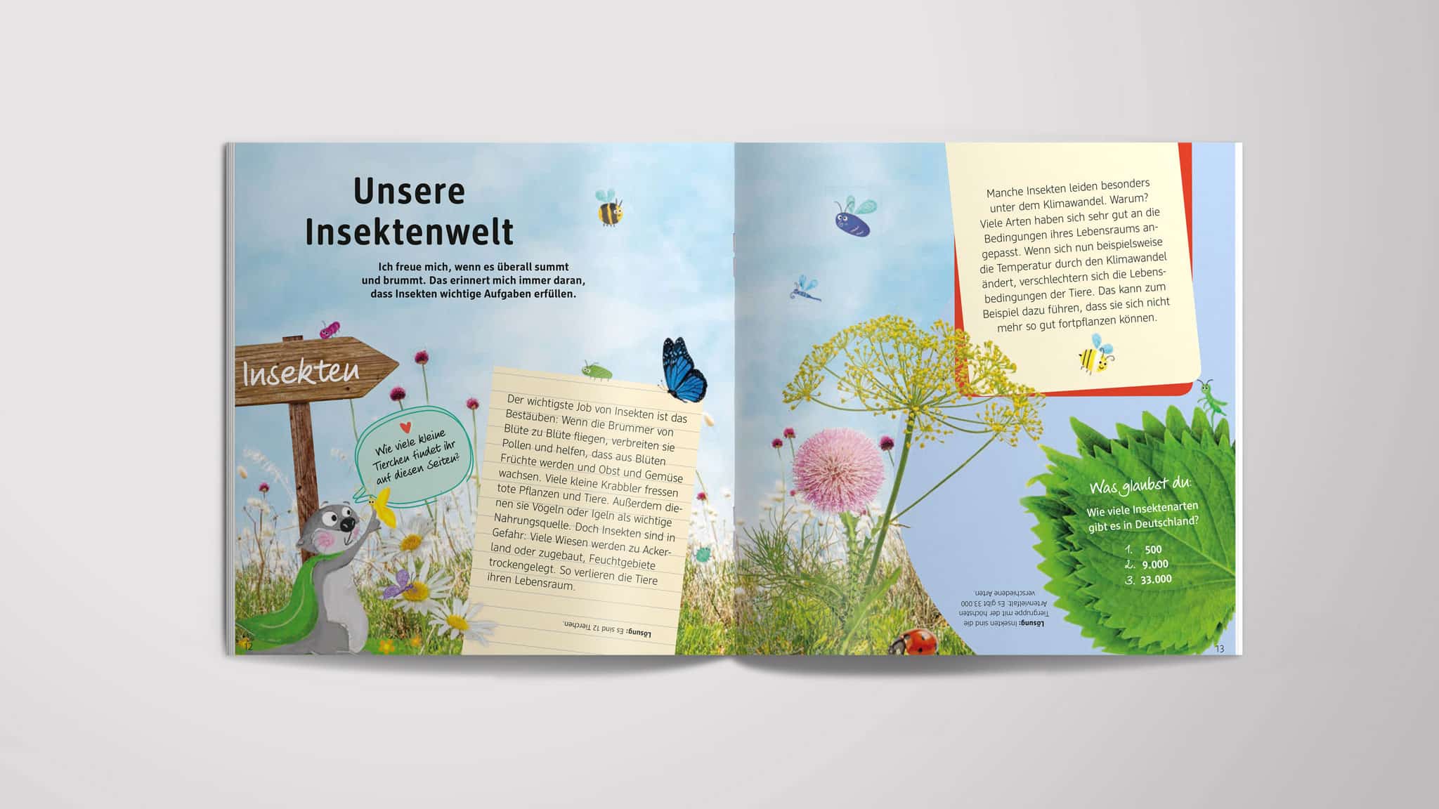 12-dm-Abenteuersommer
